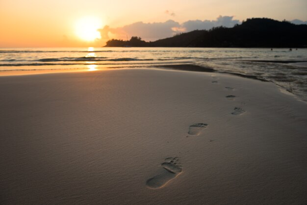 Empreintes humaines sur le sable de la plage.