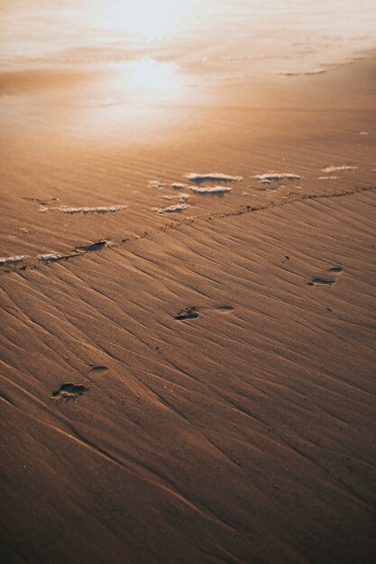 Empreintes de pas dans le sable mouillé