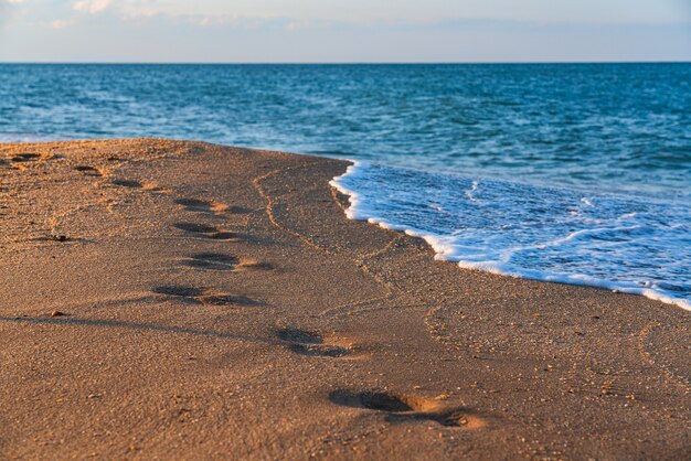 Empreintes de pas sur la plage de sable humide