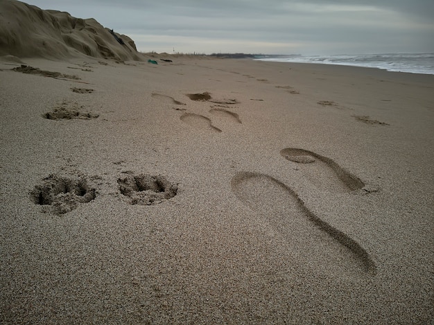 Empreintes placées côte à côte sur le sable : celles d'une personne et celles d'un chien qui se prolongent parallèlement dans le paysage.