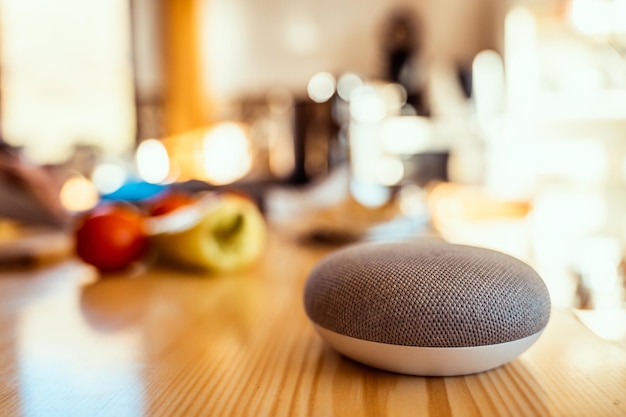 Enceinte intelligente à commande vocale dans le salon