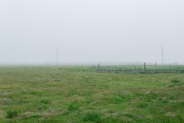 Enclos de bétail de paysage rural sur un pâturage brumeux