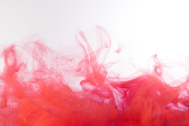 Photo encres dans l'eau, explosion abstraite de couleur