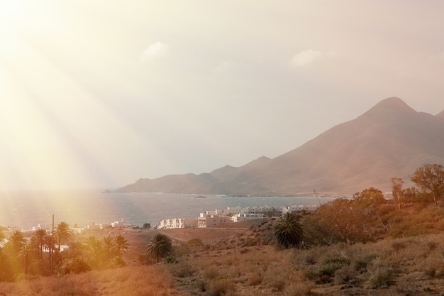 Endroit désertique avec palmiers situé à Almeria