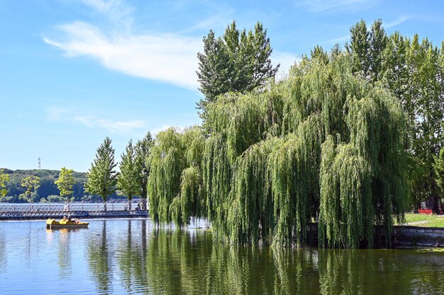 Un endroit pittoresque pour se reposer dans le parc de la ville de Ternopil