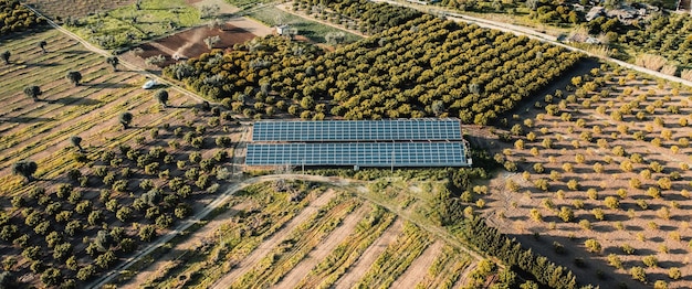 L'énergie solaire renouvelable pour l'agriculture