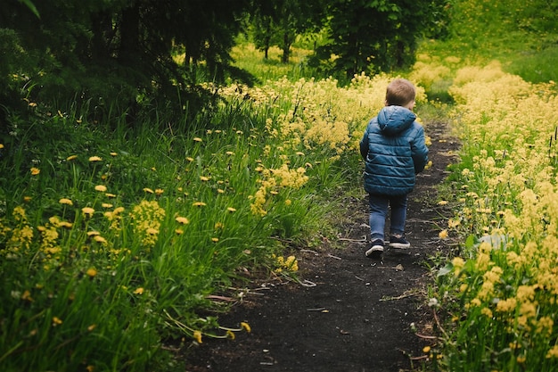 Un enfant actif court le long du chemin à travers le champ de fleurs de printemps jaune