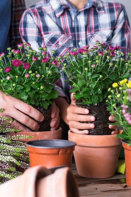 Un enfant aide son père à planter des fleurs en famille à la maison