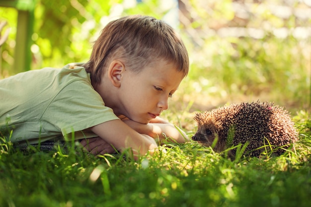 Enfant avec animal. Garçon et hérisson se regardant