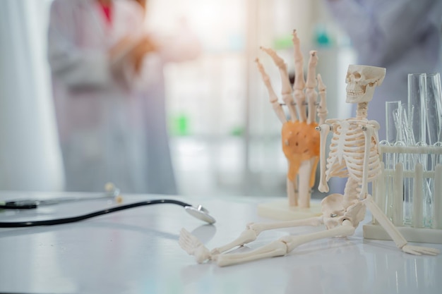 Enfant asiatique apprenant avec un médecin en laboratoire. Examen physique et classe d'éducation scientifique.