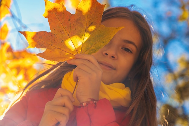 Enfant d'automne dans le parc avec des feuilles jaunes Mise au point sélective Kid