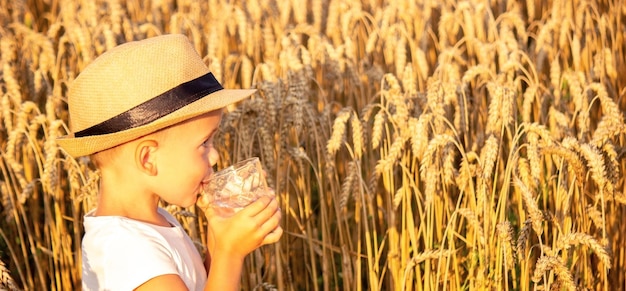 Un enfant boit de l'eau sur le fond du champ