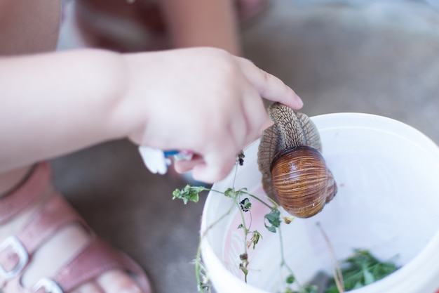 Enfant caressant un escargot. explorer la nature