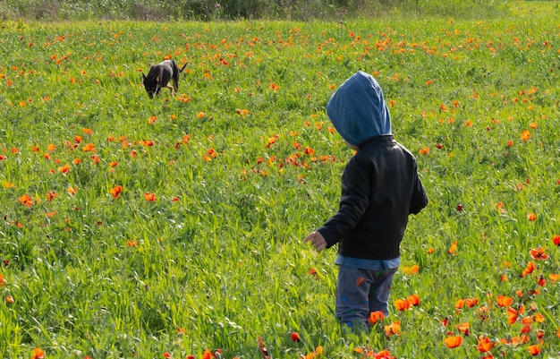 Enfant et chien dans le champ de coquelicots