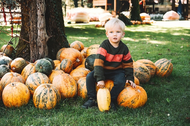 Enfant cueillant des citrouilles à la citrouille Petit garçon jouant au champ de courge