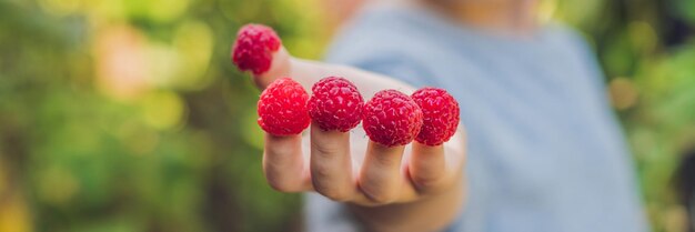 Enfant cueillant des enfants de framboises cueillir des fruits frais sur la ferme de framboises biologiques jardinage et enfants