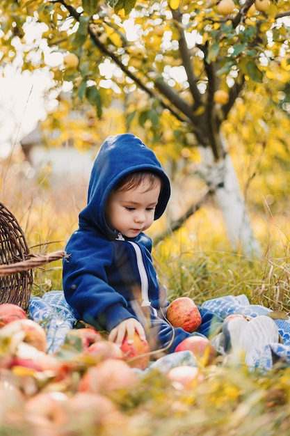 Enfant cueillant des pommes à la ferme Verger de pommiers amusant pour les enfants Enfant mangeant des fruits Activité de plein air d'automne Jardinage à l'automne