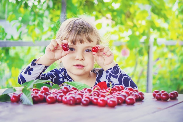 L&#39;enfant cueille des cerises dans le jardin. Mise au point sélective.