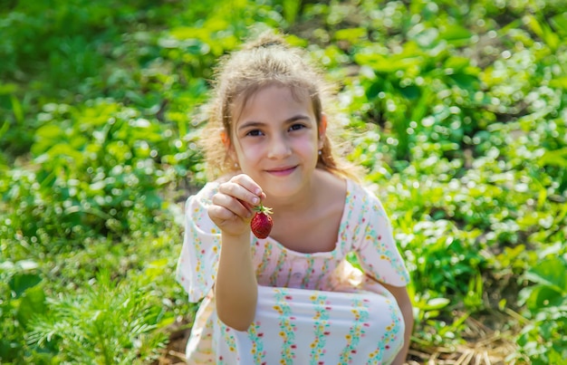 L'enfant cueille des fraises dans le jardin. Nature.