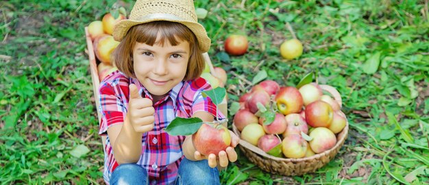 enfant cueille des pommes dans le jardin dans le jardin. Mise au point sélective.