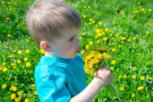 L'enfant cueille et renifle les fleurs allergie printanière