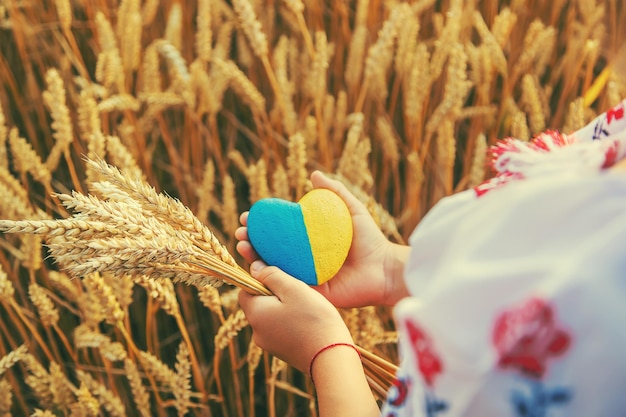 Enfant dans un champ de blé Dans vyshyvanka le concept du Jour de l'Indépendance de l'Ukraine Mise au point sélective