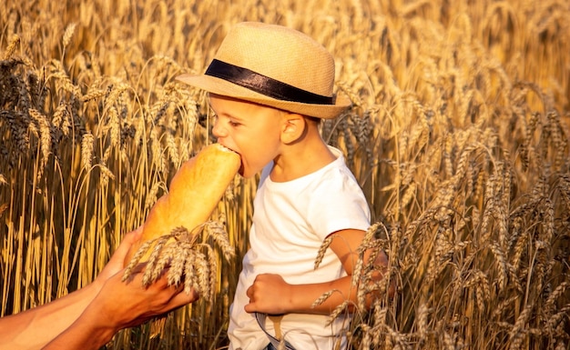 Un enfant dans un champ de blé mange du pain.