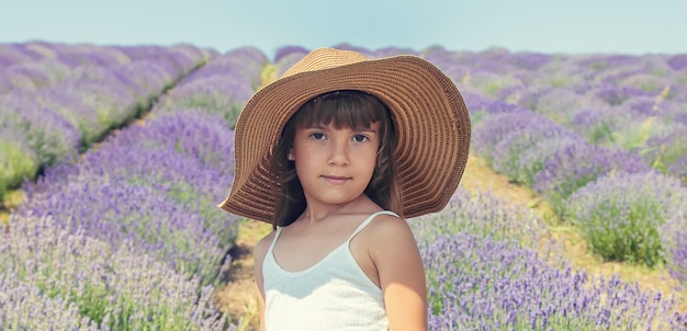 Un enfant dans un champ fleuri de lavande.