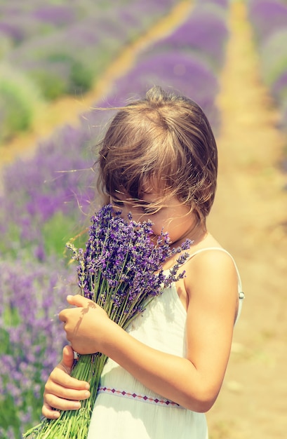 Un enfant dans un champ de fleurs de lavande.