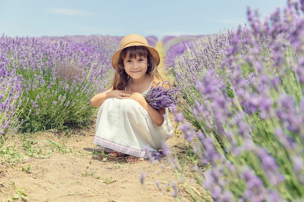 Un enfant dans un champ de fleurs de lavande.