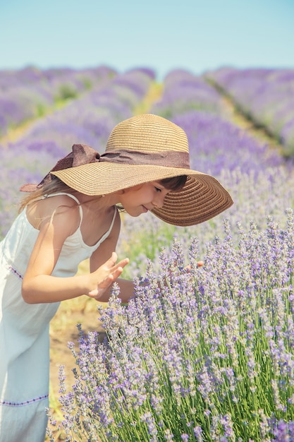 Un enfant dans un champ de fleurs de lavande.