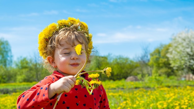 Un enfant dans un champ de pissenlits jaunes Mise au point sélective