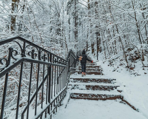 Enfant dans les escaliers du parc des montagnes enneigées