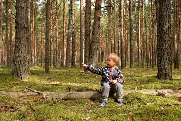Un enfant dans une forêt de conifères, une forêt de pins, un enfant parmi des troncs d'arbres dans la forêt