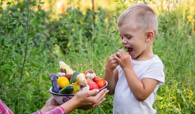 Enfant dans le jardin avec des légumes dans ses mains Mise au point sélective