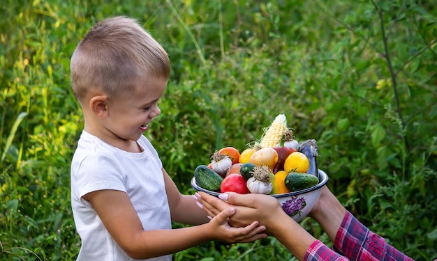 Enfant dans le jardin avec des légumes dans ses mains Mise au point sélective