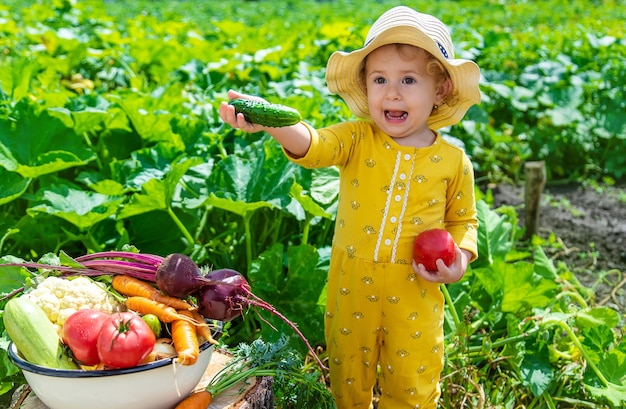 Enfant dans la mise au point sélective du potager