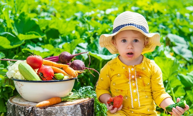 Enfant dans la mise au point sélective du potager