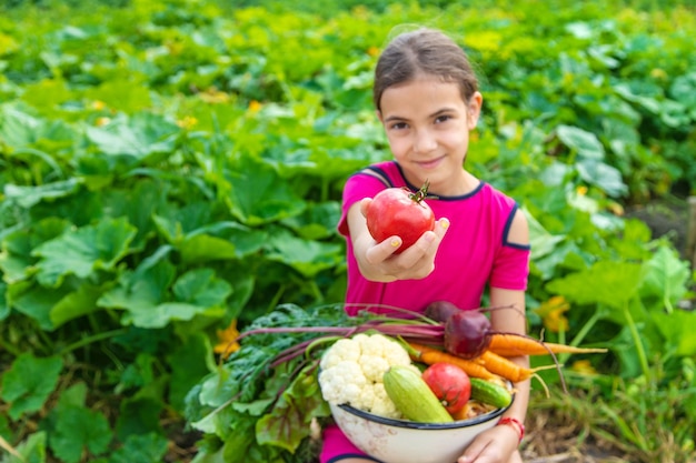 Enfant dans la mise au point sélective du potager