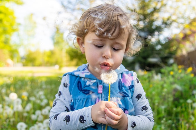 Un enfant dans la nature souffle un pissenlit Mise au point sélective