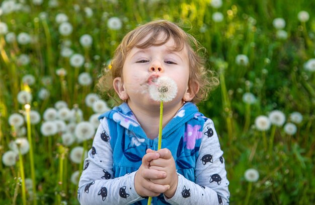 Un enfant dans la nature souffle un pissenlit Mise au point sélective