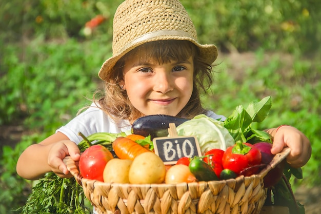 Un enfant dans le potager