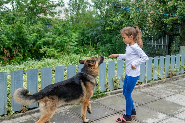 L'enfant donne un coup de main au chien. Mise au point sélective.