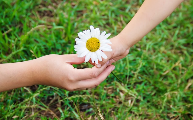 L&#39;enfant donne la fleur à sa mère. Mise au point sélective.