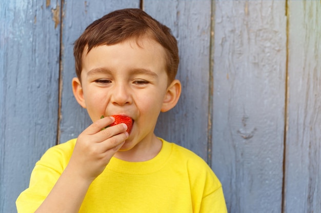 Enfant enfant petit garçon mangeant des fraises d'été fraises copyspace copie espace extérieur extérieur extérieur