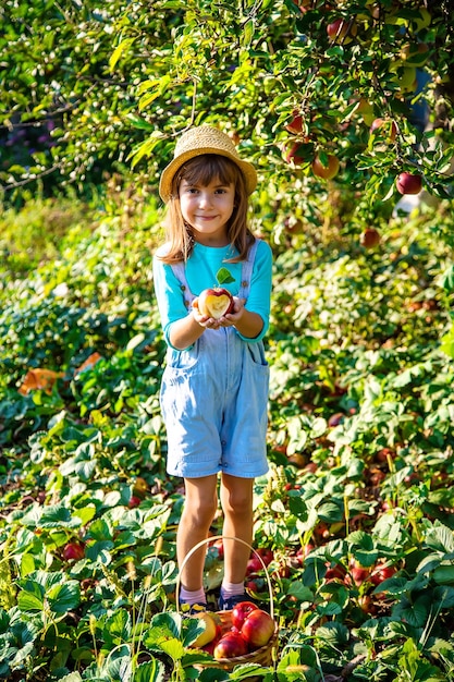 Enfant avec enfant avec une pomme Selective focus Garden Food