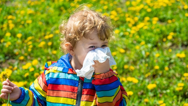 L'enfant est allergique aux fleurs Mise au point sélective
