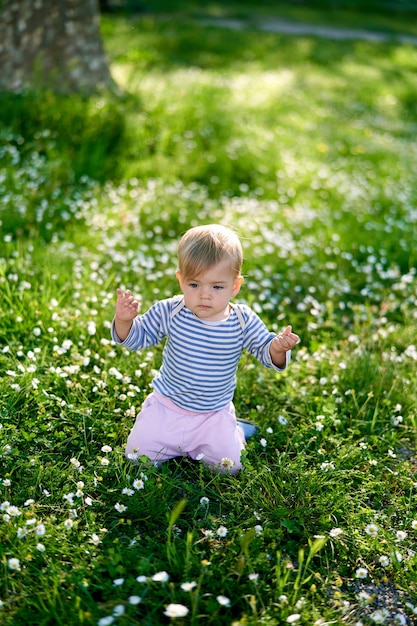 L'enfant est assis sur ses genoux levant les mains sur une pelouse verte avec des marguerites blanches