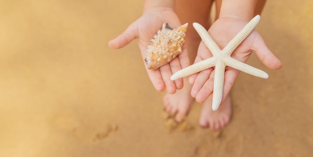 Un enfant avec une étoile de mer et des coquillages dans ses mains sur la plage.