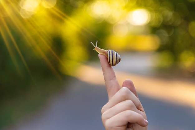 Un enfant étudie un escargot dans le parc Mise au point sélective